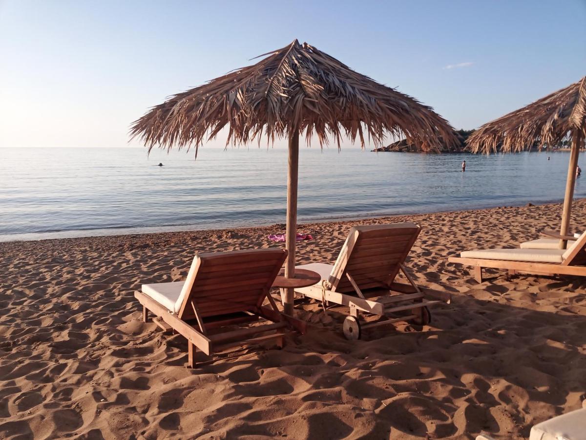 Hotel apartamentowy Argo 3*